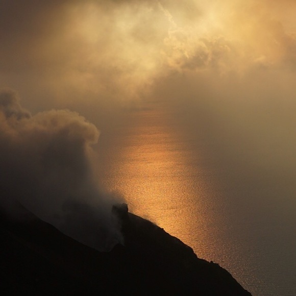 Meet your Posher, Joel - Picture 1 of 1